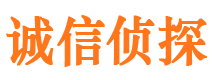 嵩县市私家侦探